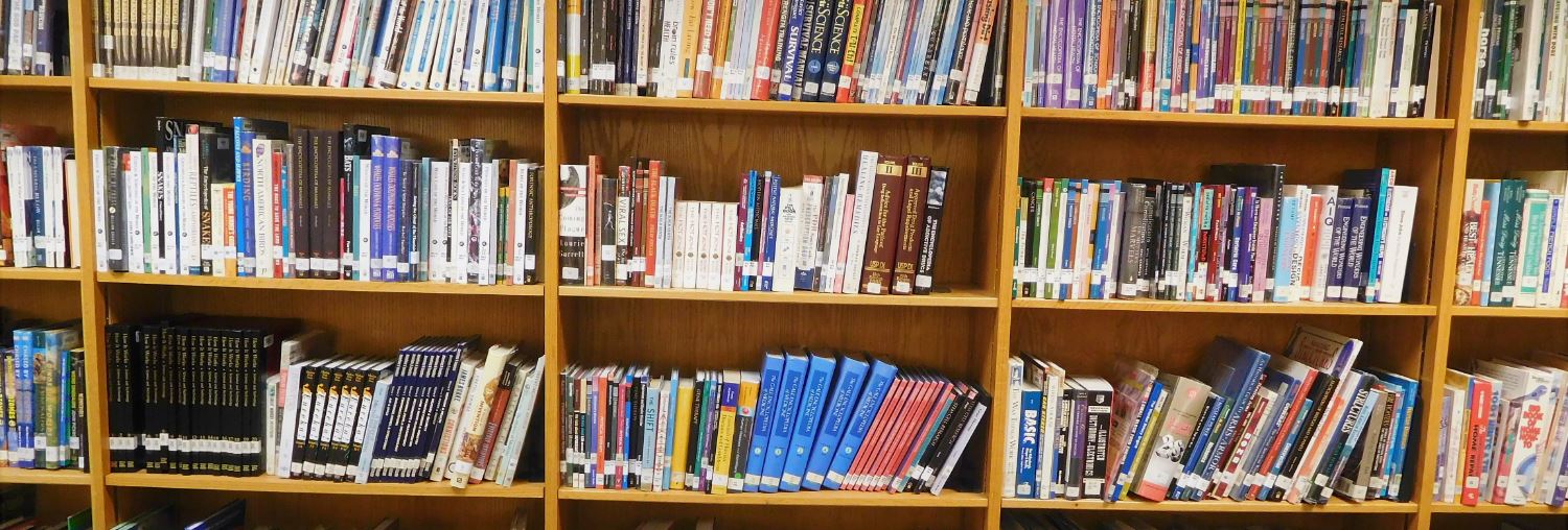 Back shelf in the Page High library with various books.